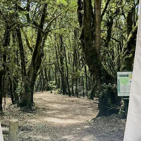 캠프장 W Discovery Canarias 산미겔데아보나